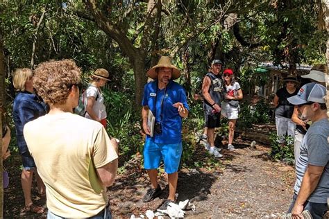 jungle prada tour